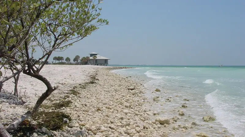 Shoreline at Honeymoon Island State Park in Dunedin